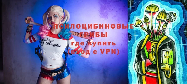 МДПВ Володарск