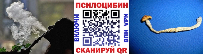 купить наркоту  Переславль-Залесский  Галлюциногенные грибы GOLDEN TEACHER 