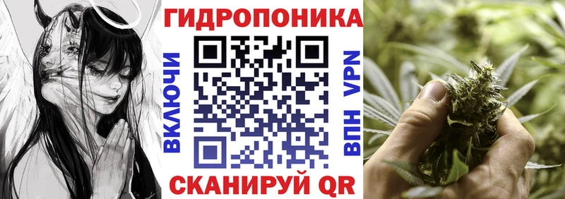 Шишки марихуана ГИДРОПОН  Переславль-Залесский 